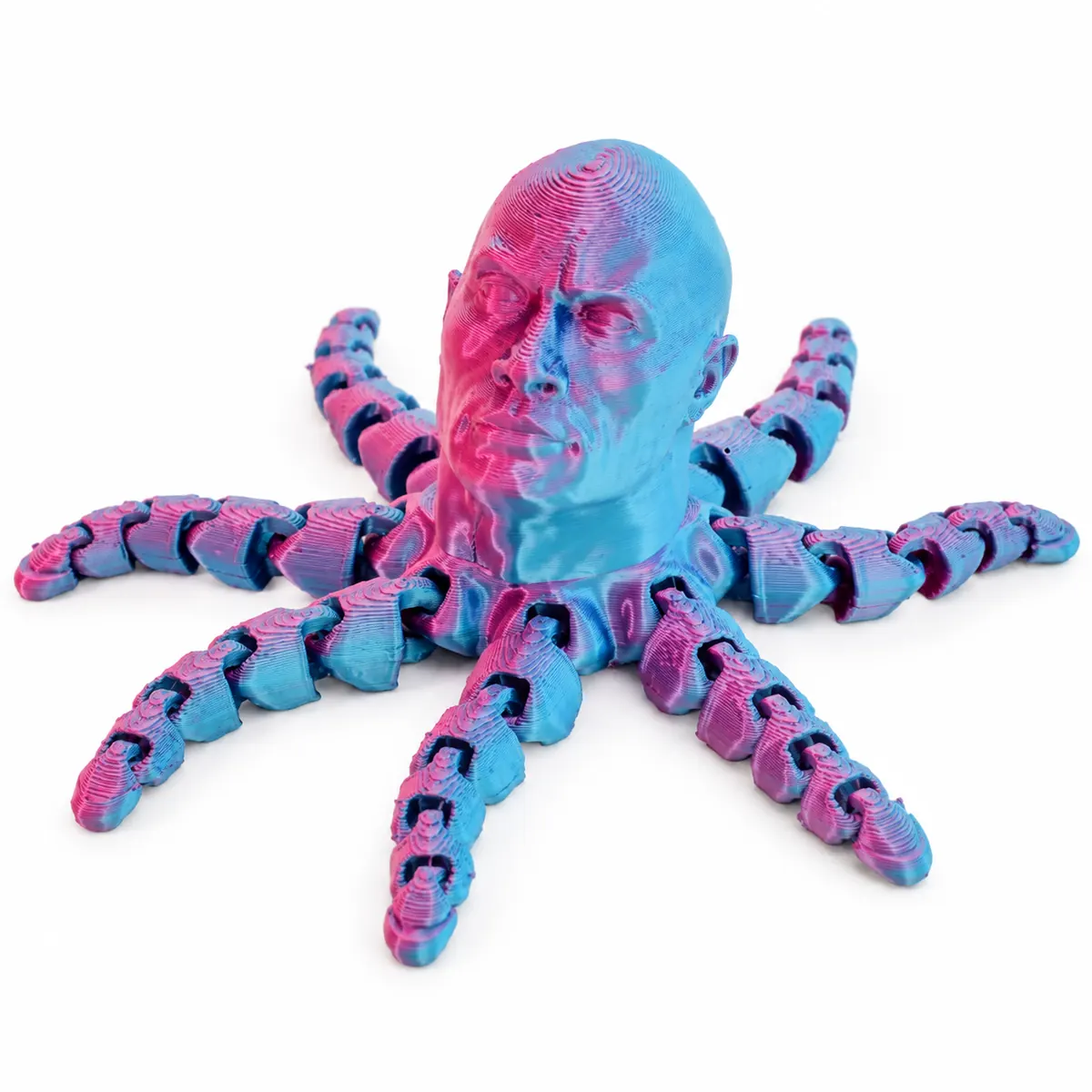 YIPINTANG articulated 3D printed Articulated 3D Printed Animal toy