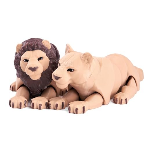 Adult Lion Couple
