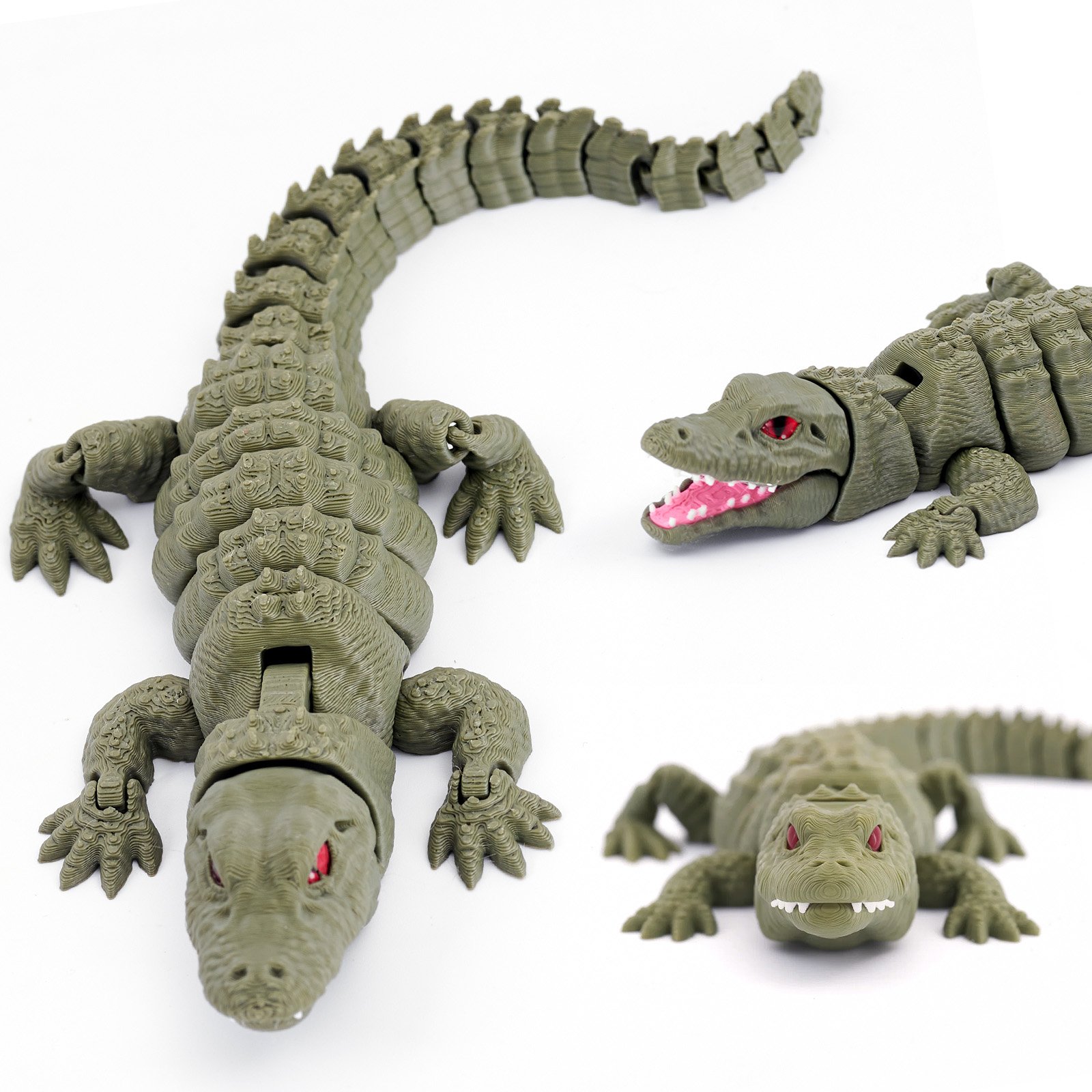 Alligator — image 1
