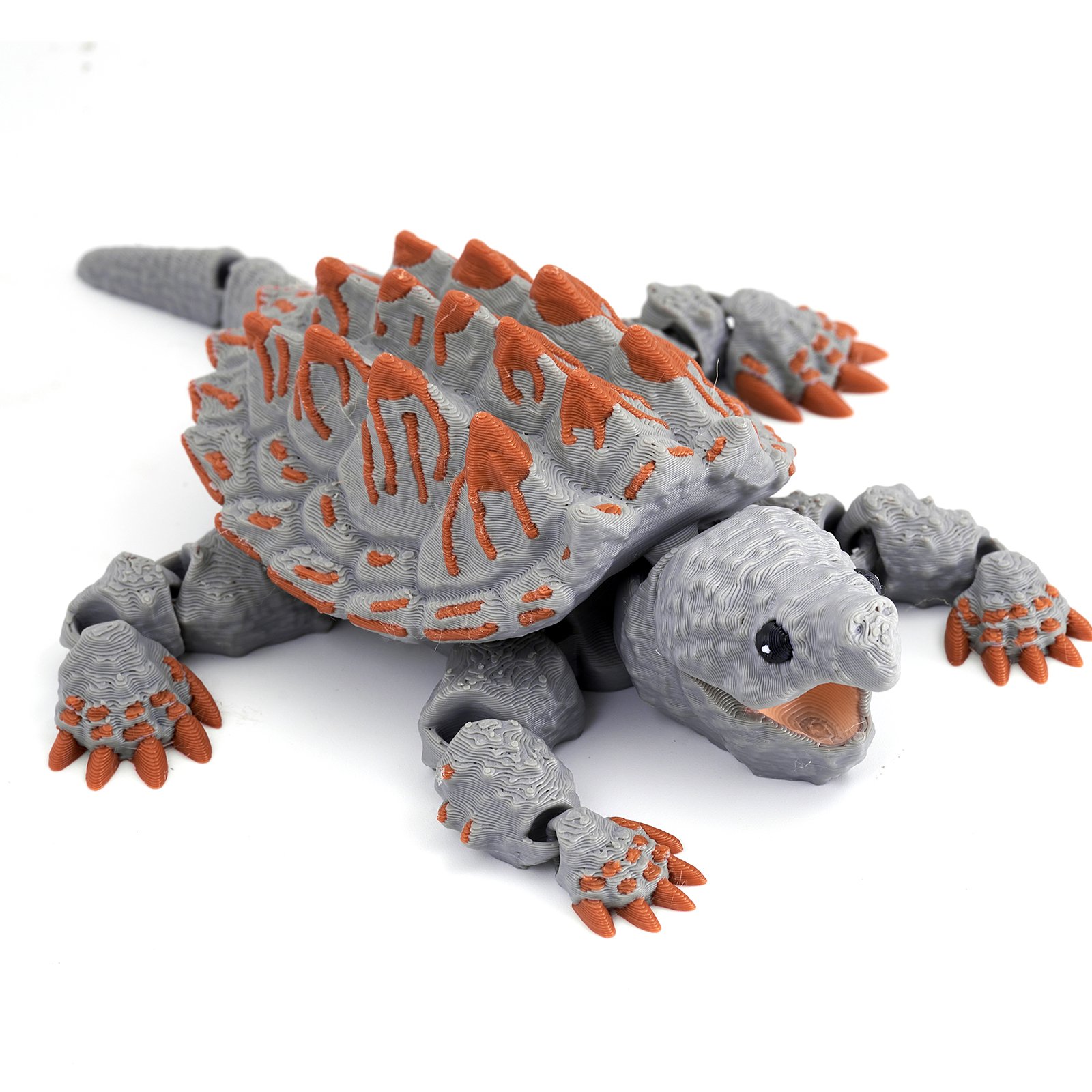 Alligator Snapping Turtle — image 1