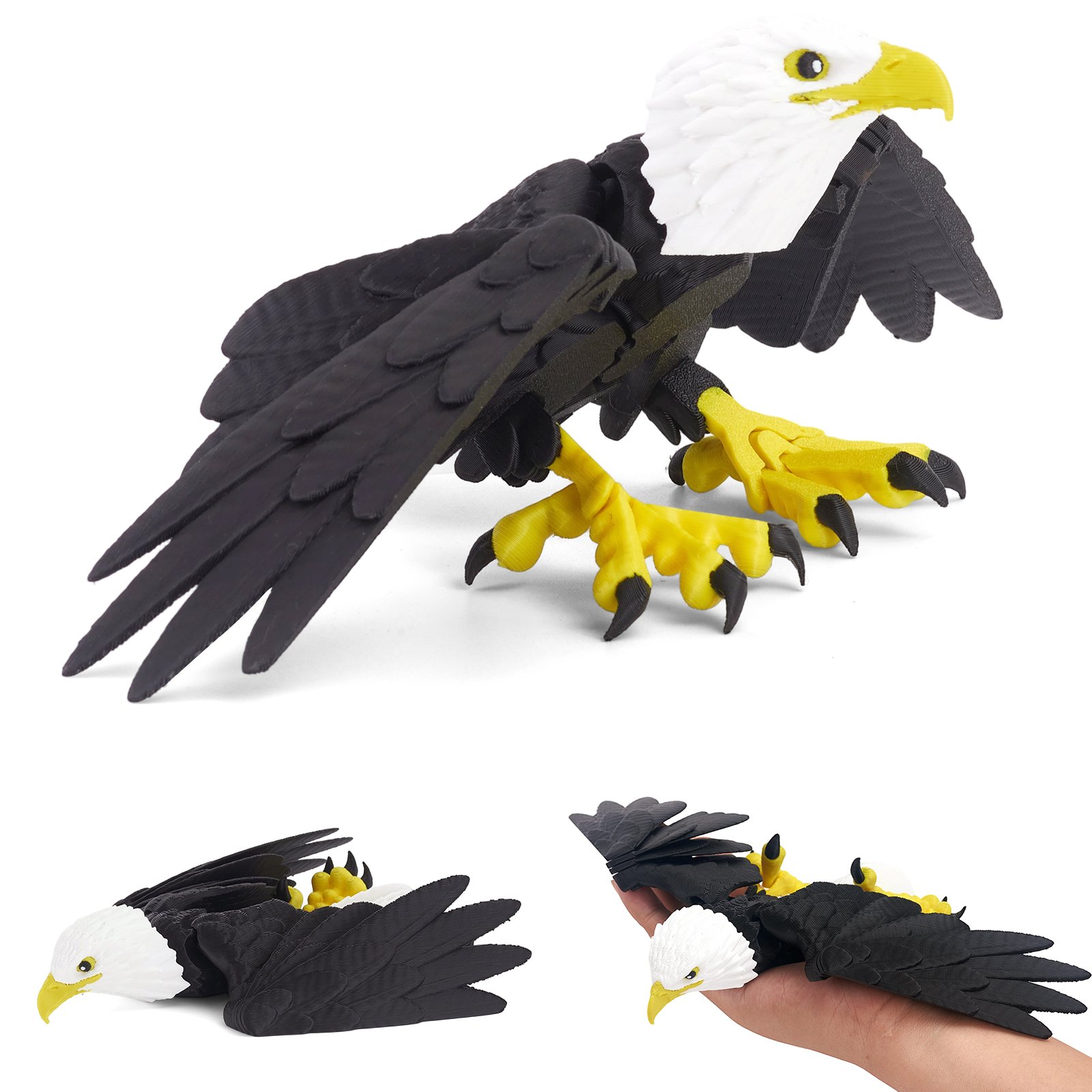 Bald Eagle — image 1